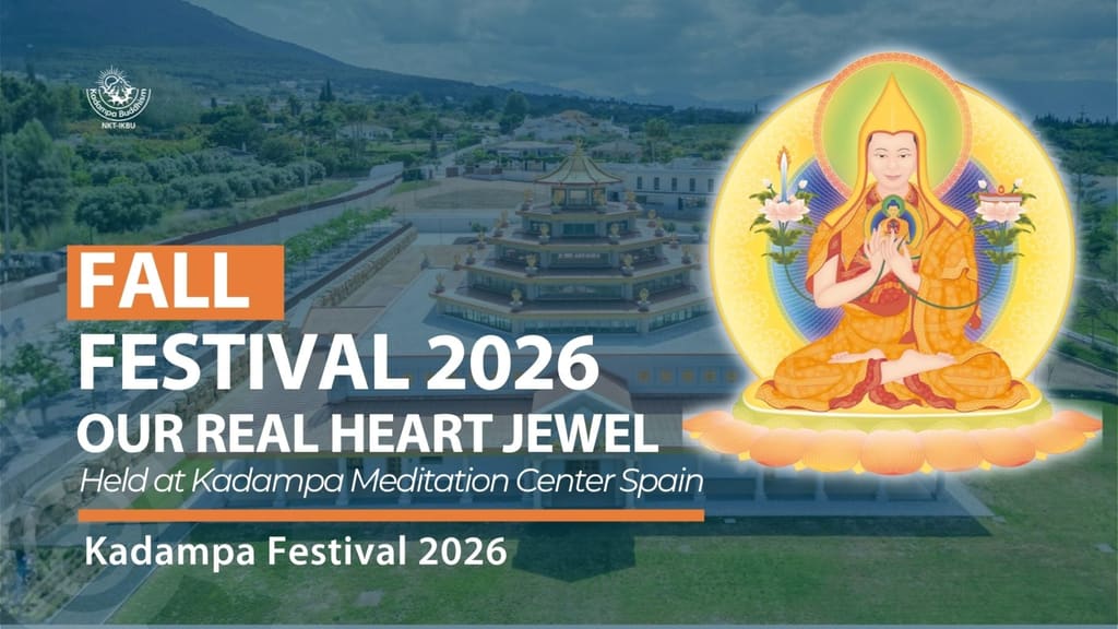 8 Weeks to the Fall Festival 2026