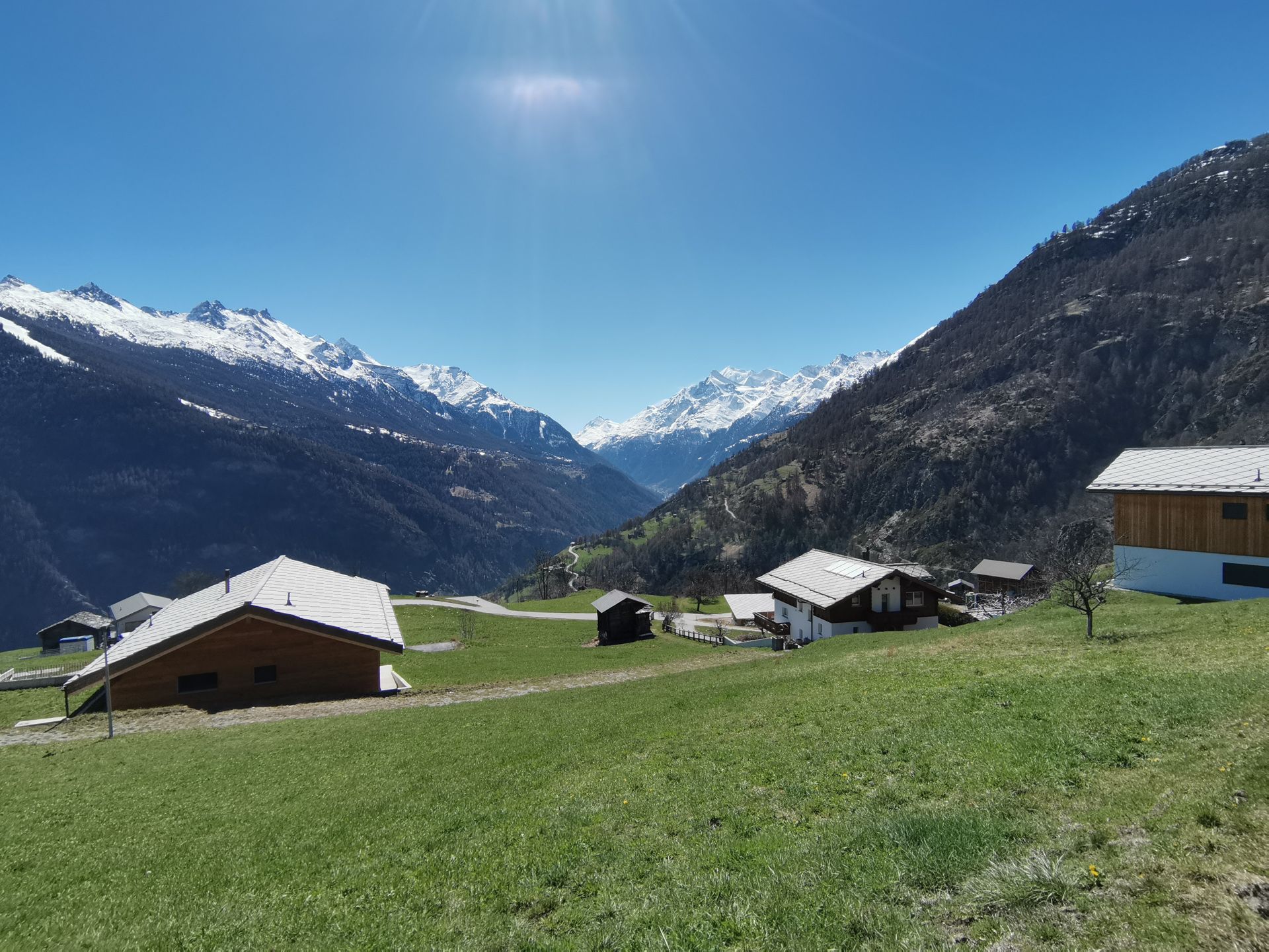 33. Swiss Dharma Celebration