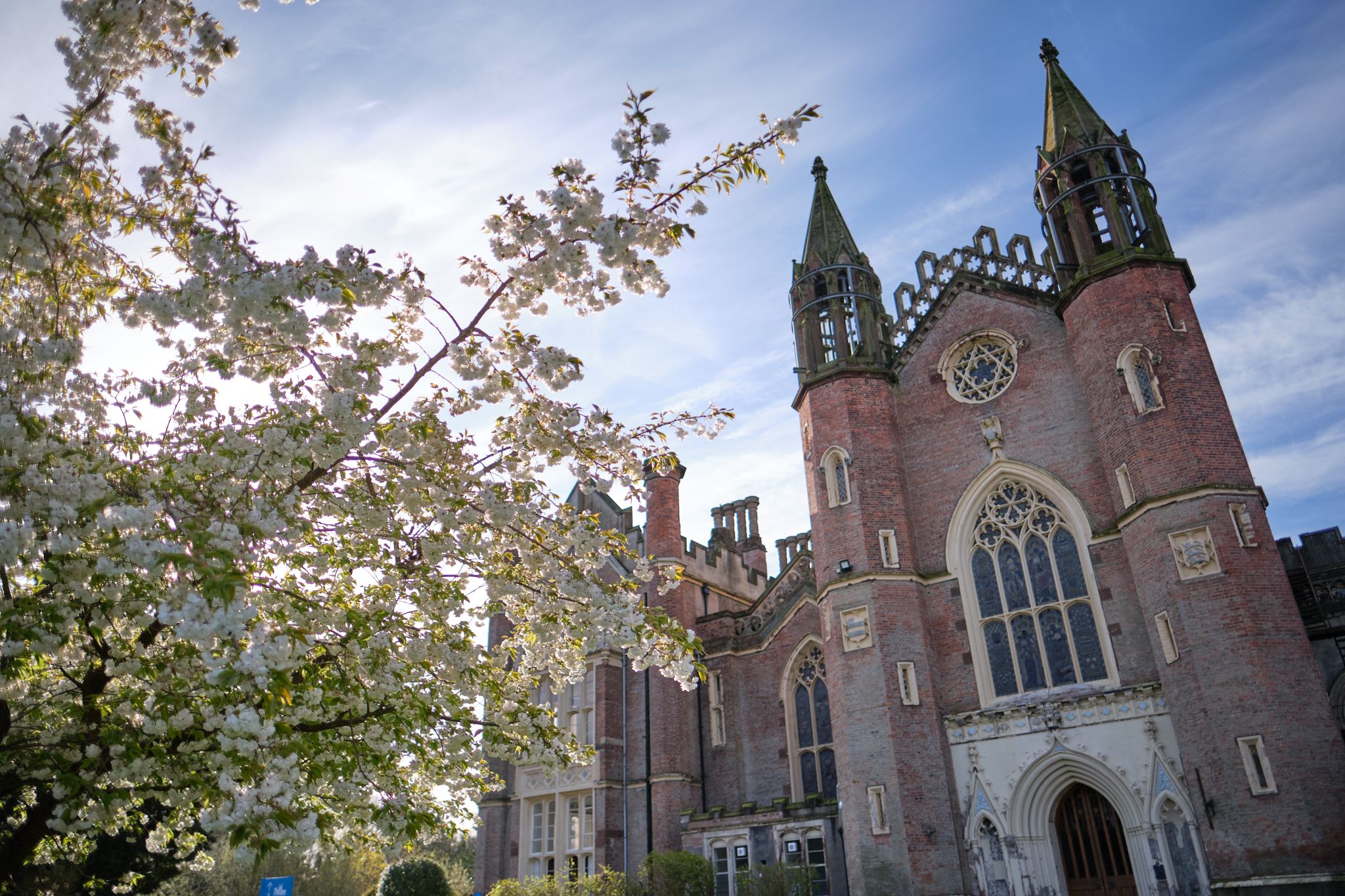 A beautiful spring in bloom at the Mother Center