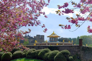 文殊师利噶当巴禅修中心寺庙的花季