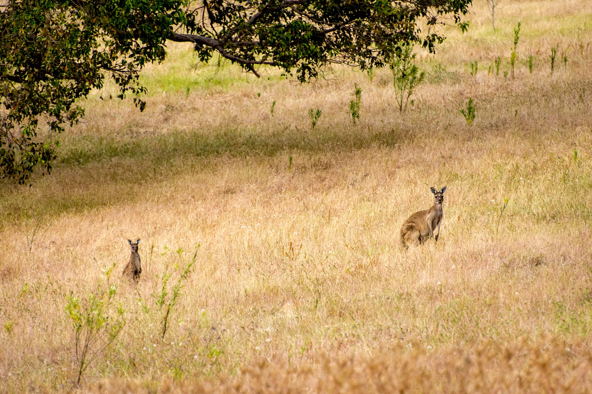 5-Retiro, Relaxar e Desfrutar-2712-untitled