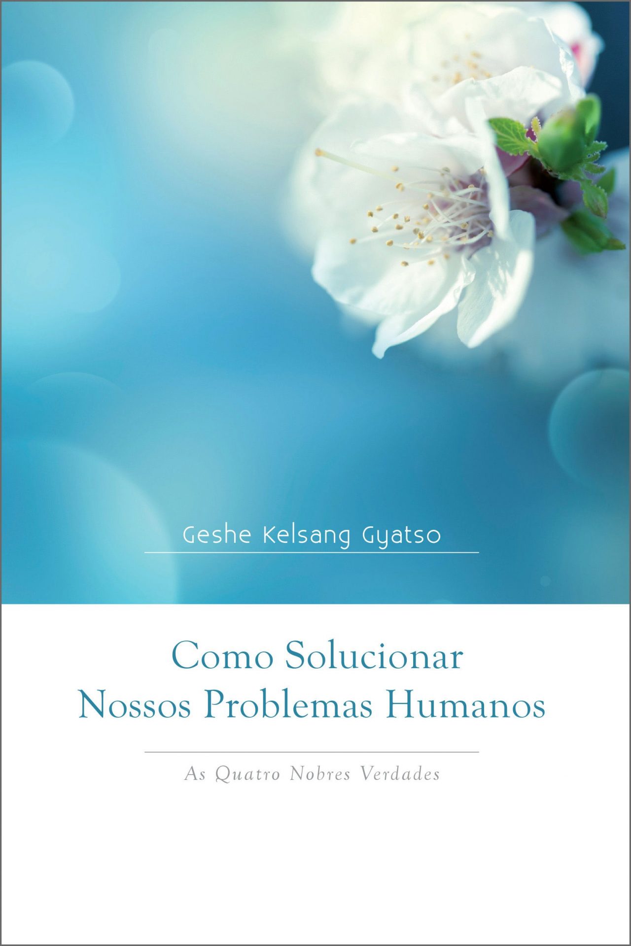 Como Solucionar Nossos Problemas Humanos