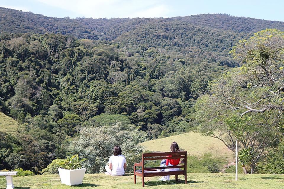 People on bench observing the nature in KMC Brazil.