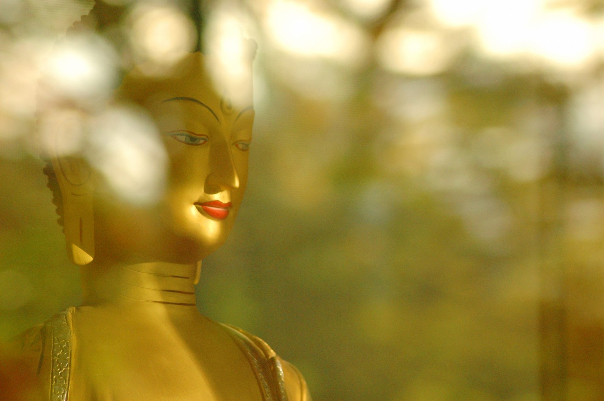 Buddha-Shakyamuni-With-Light-And-Shadows-ASSETkyd3a2dn3bbvag-scaled