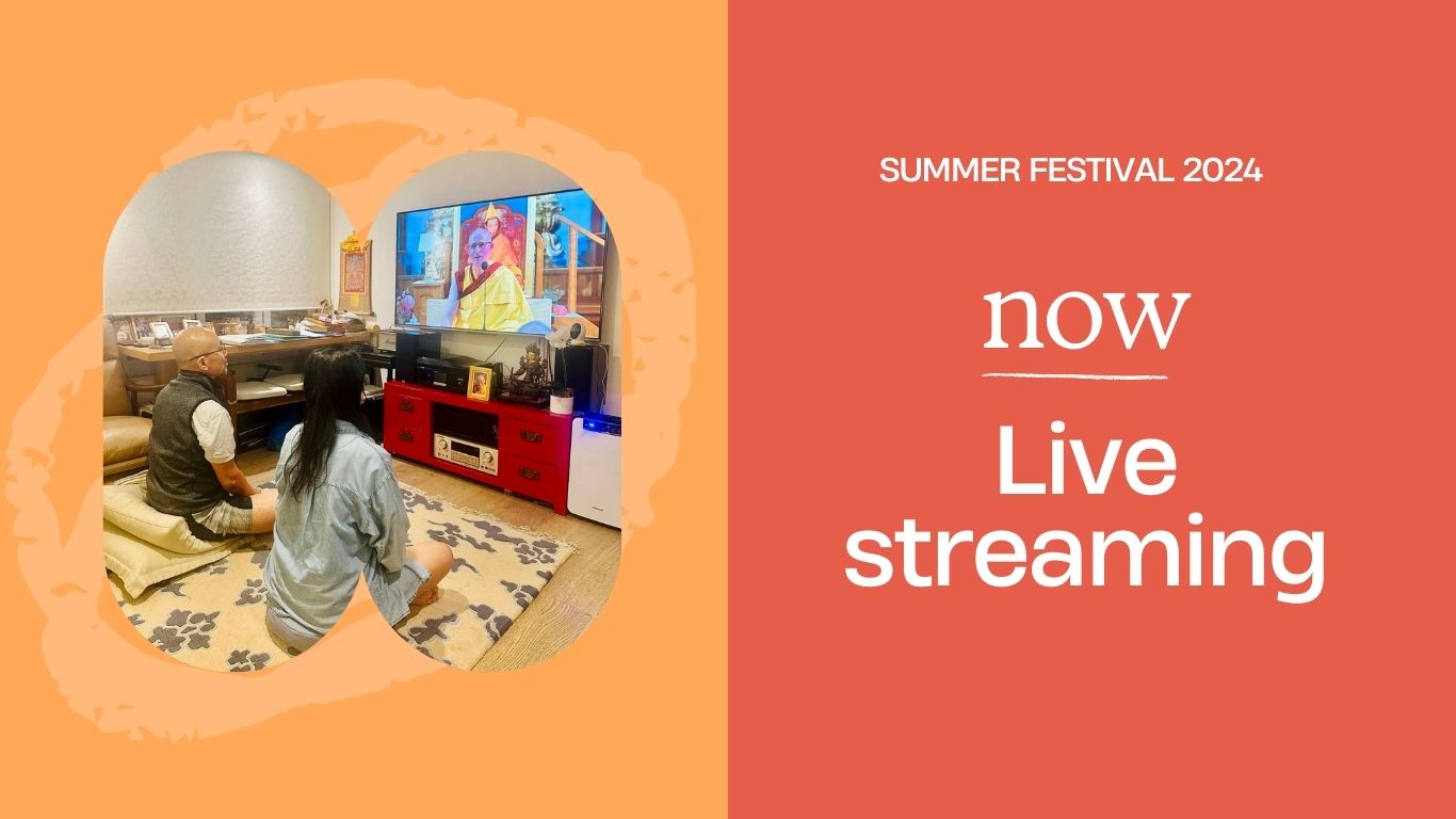 New for Summer Festival – live streaming