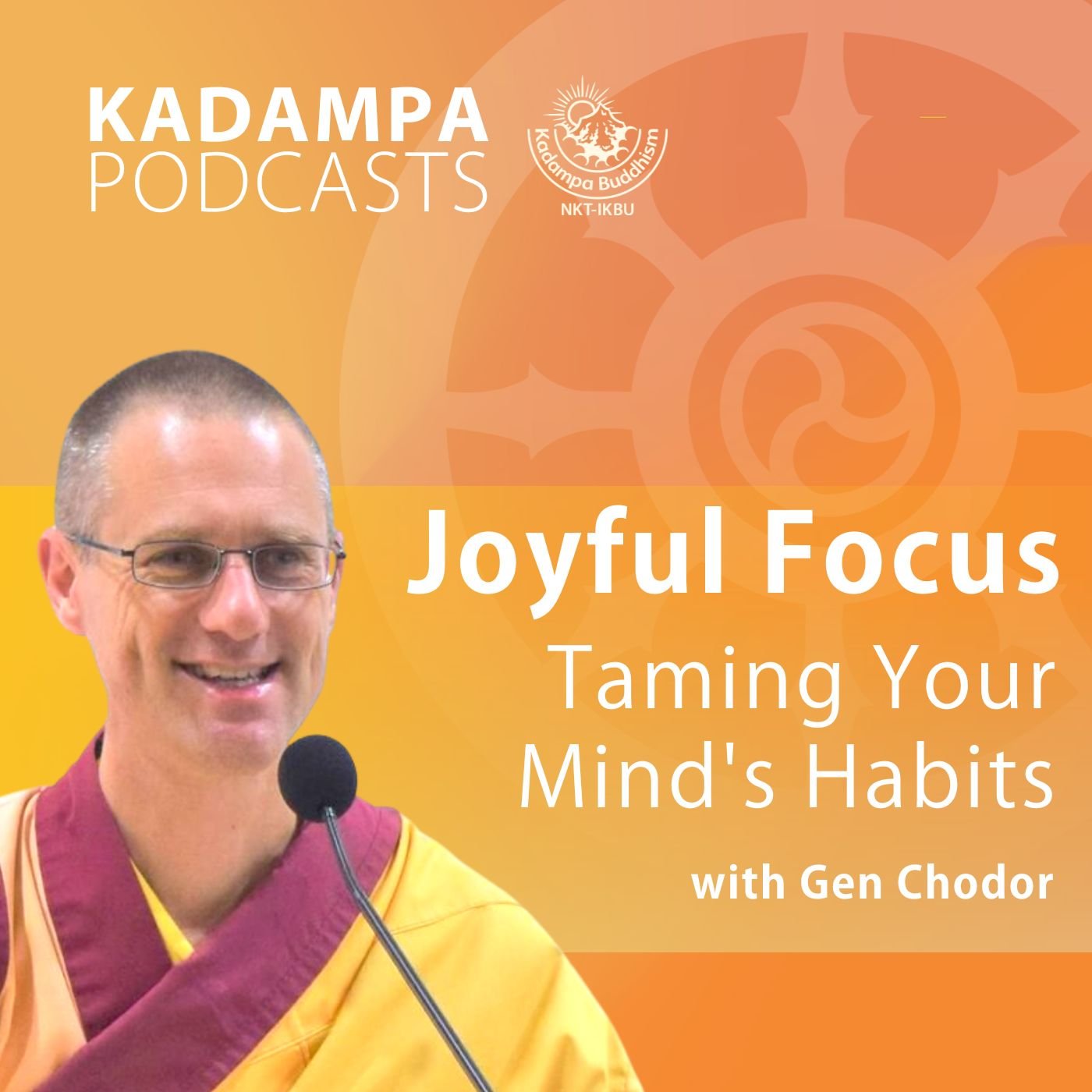 Joyful Focus Taming Your Minds Habits