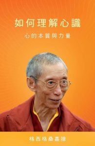 如何理解心识