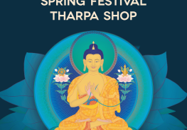 Spring_Festival_2025_Banner_1051x1200_1